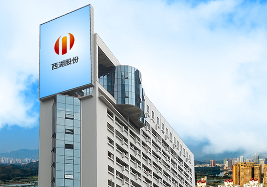 西湖股份